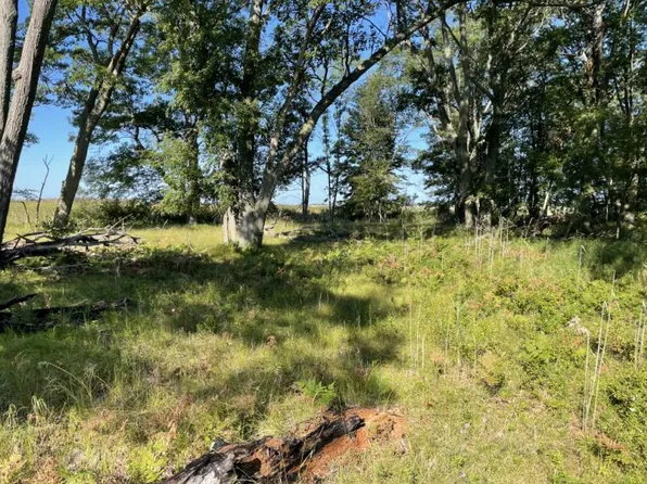 Booth Rd, Au Gres, MI 48703