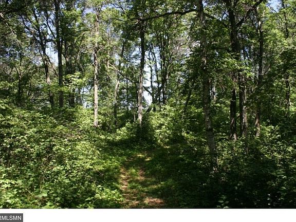 3rd image of 35648 Pine Creek Trl