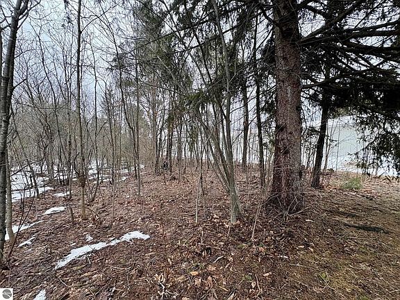 3rd image of 0 Cedar River Rd