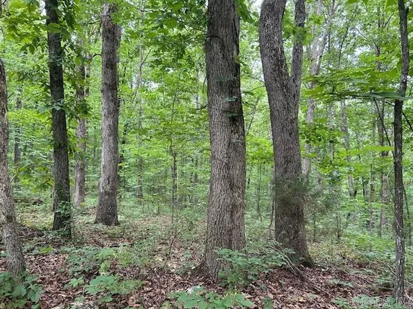 Cross Ln, Mountain View, AR 72560