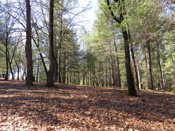 Forest Lake Pl, Colfax, CA 95713