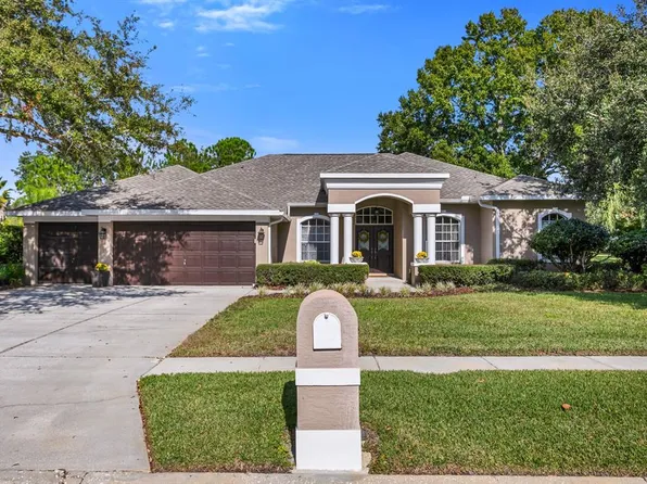 13639 Mill Pl, Odessa, FL 33556