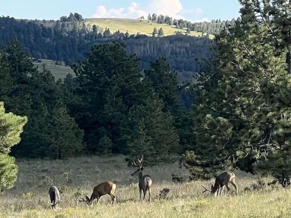 Tbd Schulze Ranch Rd, Westcliffe, CO 81252