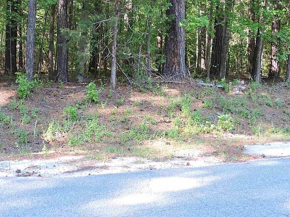 3rd image of 101 Ute Ln Lot 2581