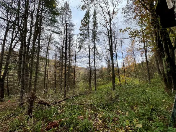 0 Spruce Hill Ln, Wellsboro, PA 16901