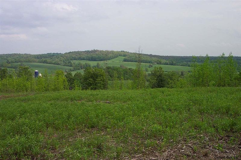 5th image of 431 PARSONS Road