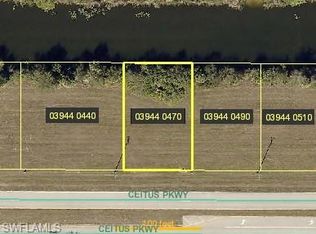 2917 Ceitus Pkwy, Cape Coral, FL 33991