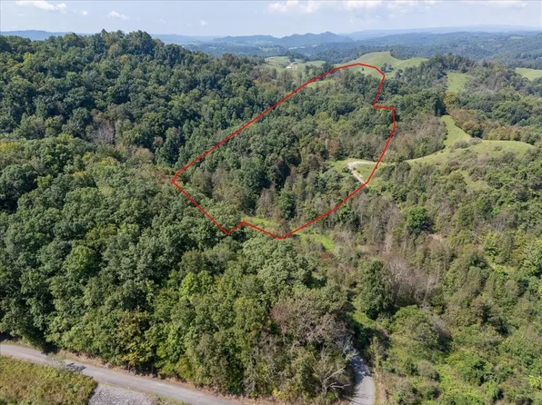 Tbd Red Oak Ridge Rd, Castlewood, VA 24224