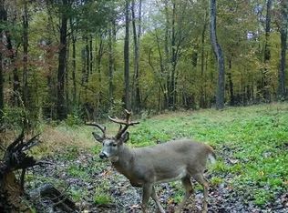 14 Grand Pierre Dr, Golconda, IL 62938