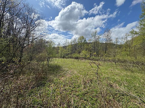 4th image of 1391 Starrucca Creek Rd