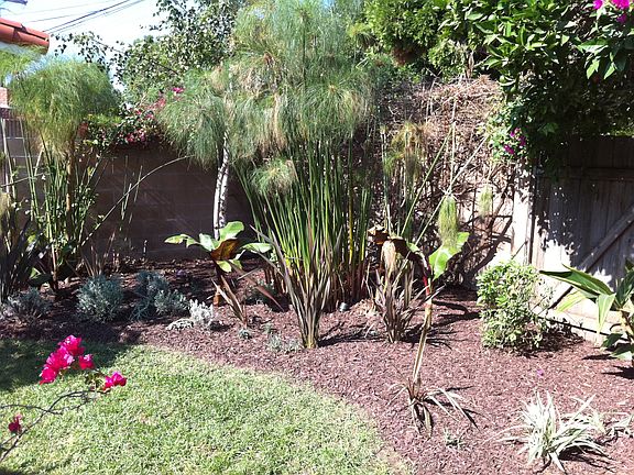 Fully landscaped backyard
