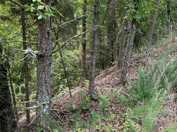 Flint Ridge Rd Lot 417, Rockwood, TN 37854