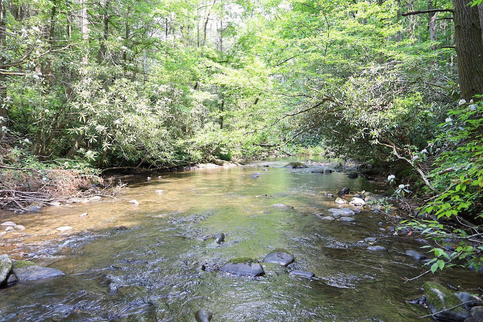 0 Tumbling Creek Rd, Copperhill, TN 37317 MLS 20238331 Zillow