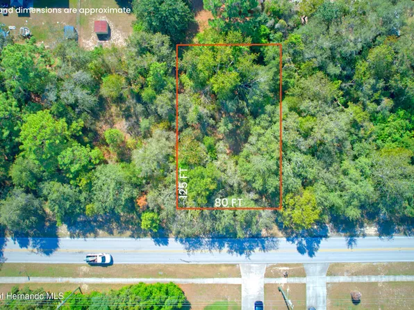 12622 N Linden Dr, Spring Hill, FL 34609