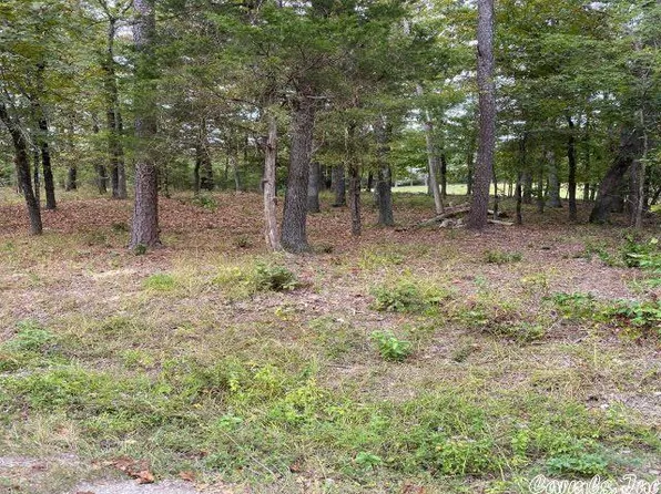 28 Princesa Dr, Hot Springs Village, AR 71909