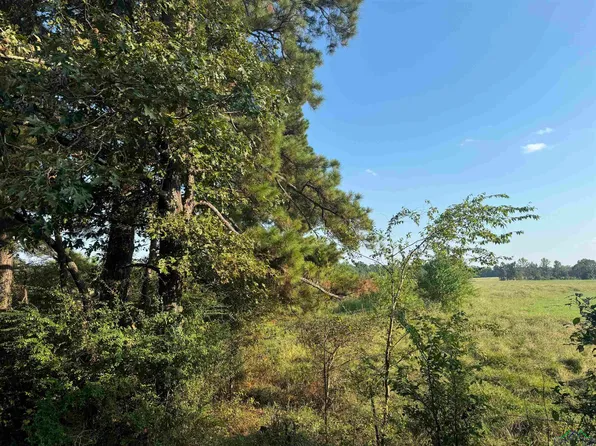 Candyman Rd, Waskom, TX 75692