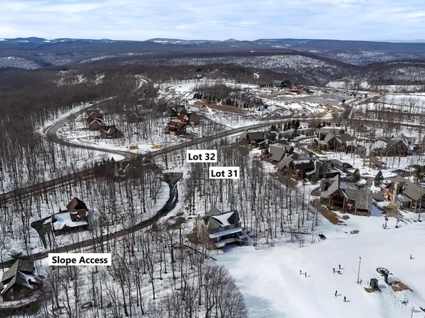 31 Snowshoe Ct, Mc Henry, MD 21541