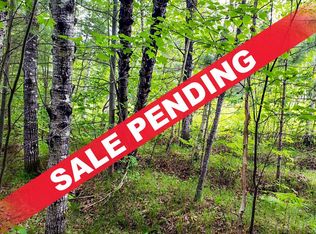 101 Swamp Lake Rd, Tomahawk, WI 54487