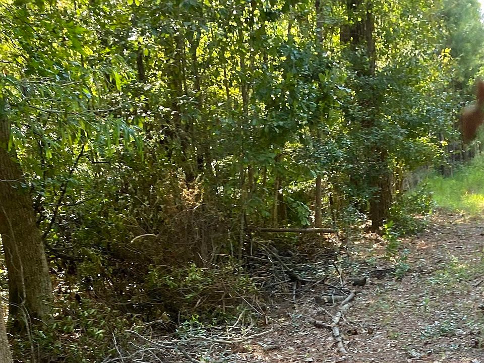 2nd image of  Fulmore Dr.