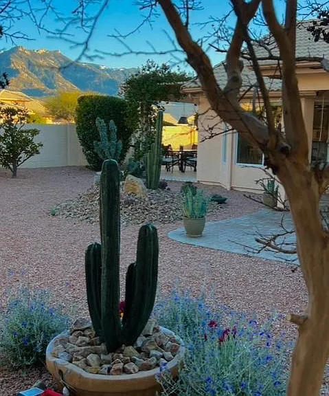 65558 E Rose Ridge Dr — Photo 12
