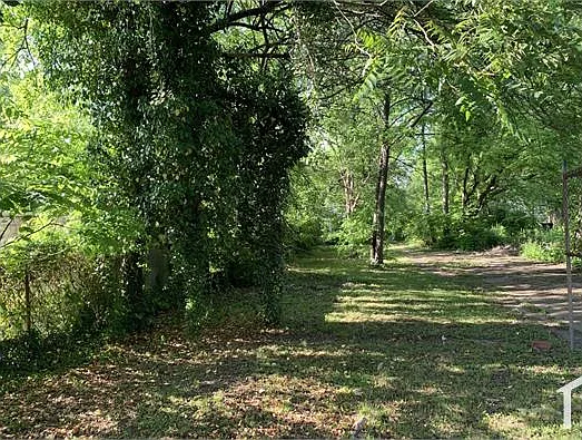3 bed, 1500 sqft, $1,350 — Photo 3