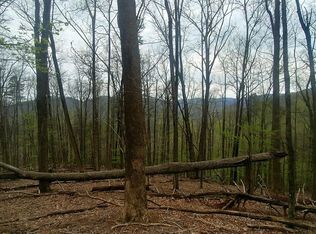 0 Walnut Mountain Rd, Ellijay, GA 30536
