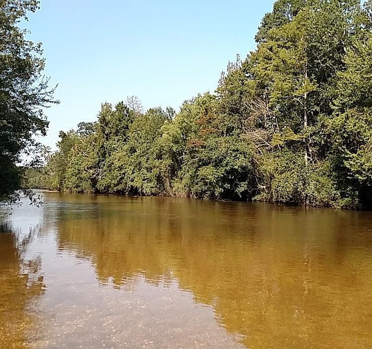 923 Titi St, Flomaton, AL 36441 MLS 457256 Zillow