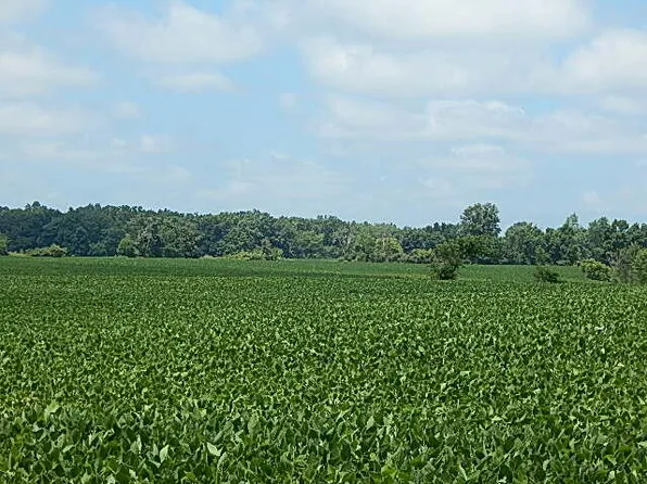 4200 Pennington Rd, Clinton, MI 49236