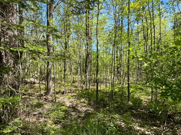 Lot A-1 Cathedral Pines Road, Damariscotta, ME 04543
