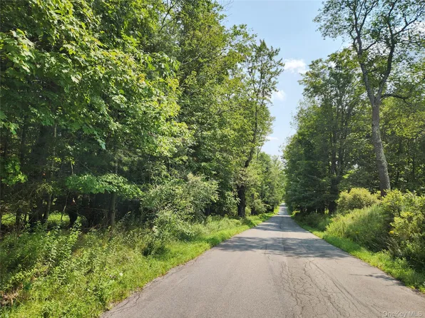 Soule Road, Bethel, NY 12720