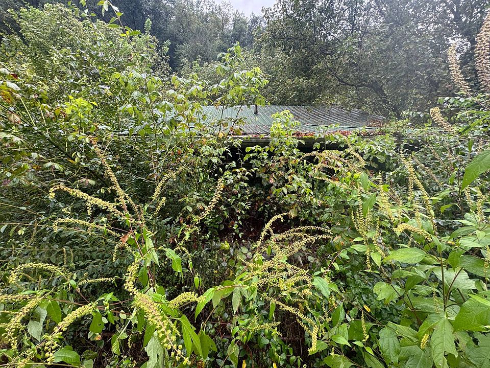 2nd image of 4026 Armstrong Creek Rd