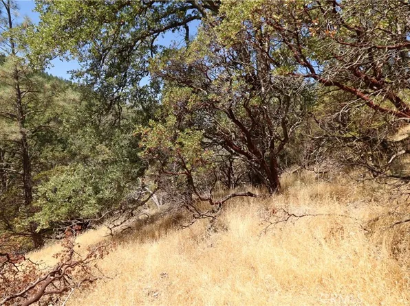 14056 Casentini Dr #13, Cobb, CA 95426