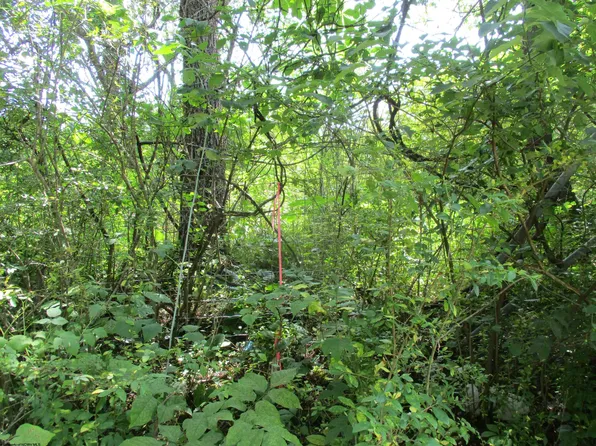 Monclair Dr, Buckhannon, WV 26201