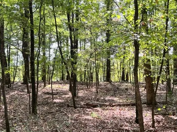 Grayling Ln, Watson, OK 74963