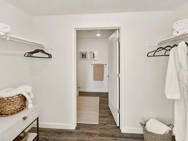 Walk in Closet at BRIX325 Apartments