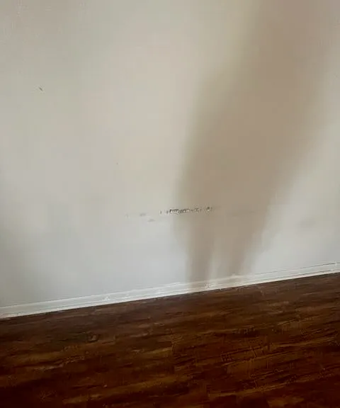 1482 S Feemster Lake Rd #19 — Photo 14