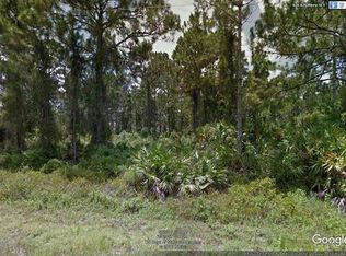 826 Rixey St E, Lehigh Acres, FL 33974
