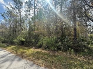 Green Willow Run #7590, Wesley Chapel, FL 33544