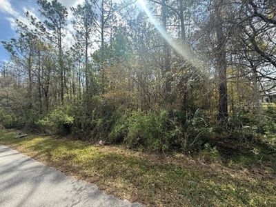Green Willow Run #7590, Wesley Chapel, FL, 33544