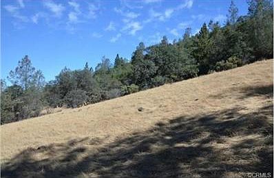 Clearing #1 looking up the hill.