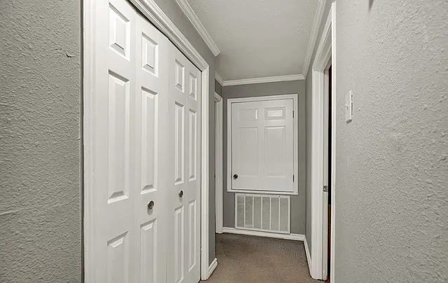 1010 Country Oak Dr — Photo 11