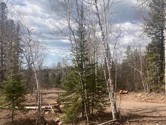 4th image of 0 Aspen Ln