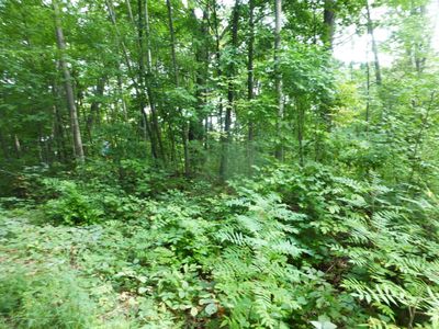 Tbd S Cypress, Croton, MI, 49337