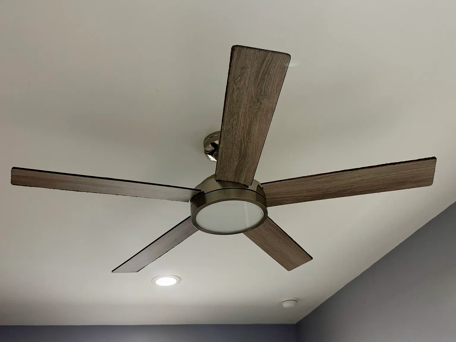 Studio, $1,250 — Photo 4