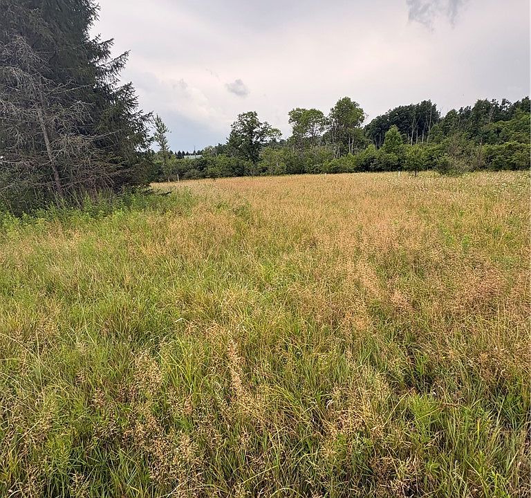 2nd image of LOT 8605 Two County Rte Lot 96-66