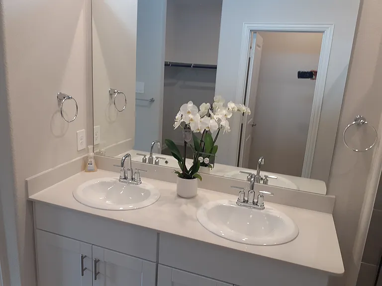 Master bathroom vanity.