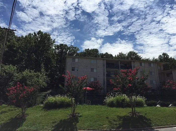 Calvert Hall Apartments — Photo 9