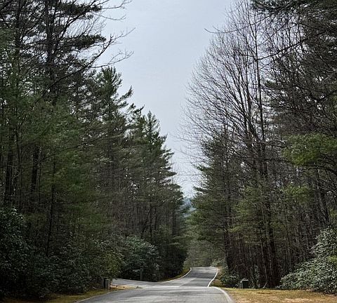 5th image of 72 Big Pine Road