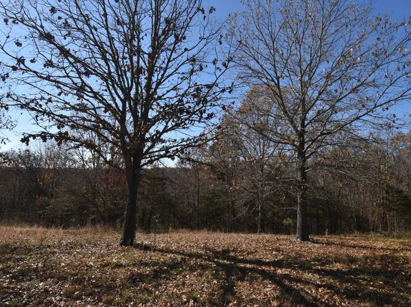 Lot 153 Panorama Drive, Cape Fair, MO 65624