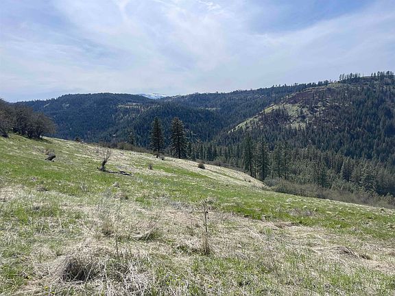 3rd image of Wagon Wheel Rd